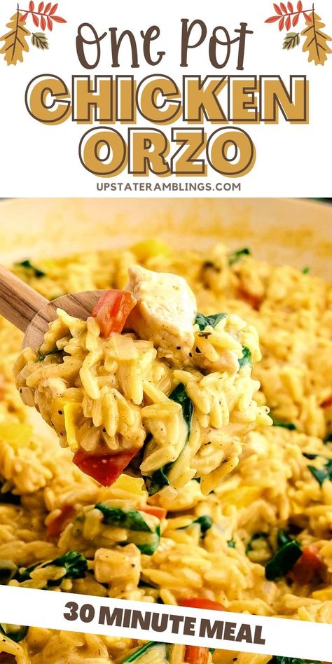 One Pot Chicken Orzo Recipes With Orzo Pasta And Chicken, Orzo Chicken One Pot, Instant Pot Chicken And Orzo, One Pan Chicken Orzo Recipes, Cajun Chicken Orzo Recipes, 30 Minute One Pan Creamy Chicken Orzo, One Pan Creamy Chicken Orzo, Baked Cajun Chicken Feta Orzo, One Pot Chicken Orzo