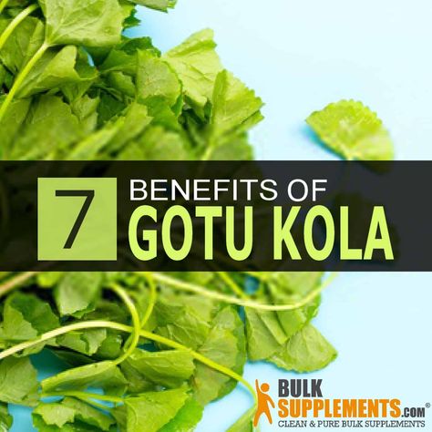 Gotu Kola Benefits, Tinctures Recipes, Benefits Of Vitamin A, Herbal Tonic, Health Tonic, Herbal Salves, Plant Benefits, Herbal Plants, Gotu Kola