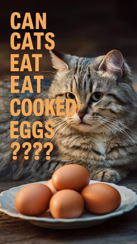 🥚🐾 Can cats eat cooked eggs? The answer may surprise you! Learn all about this purr-fect treat for your feline friend! 🐈 #cathealth #eggsforever #meow Can Kittens Chew Cooked Eggs Human Food For Cats, Foods Cats Can Eat, Cat Egg, Egg Nutrition, Egg Benefits, Raw Eggs, Cat Food Brands, Cat Diet, Living With Cats