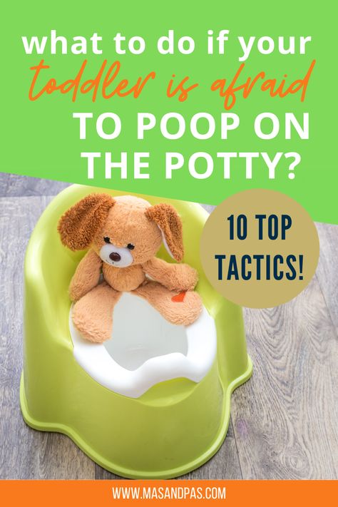 What to do if your toddler refuses to poop on the potty. If your toddler happily wees in the potty but is reluctant (or even scared) to poop – don’t panic. It’s very common and there are lots of things you can do to help - find out what here! #pottytraining #pottytrainingproblems #pottytraining101 #pottytrainingtips #toilettraining Potty Training Fun, Travel Potty, How To Potty Train, Potty Seat, Potty Train, Potty Training Tips, View Point, Teaching Toddlers, Daycare Ideas