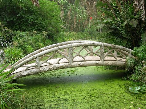 A bridge in the middle of a very nice vegetation in the Jardin d'Essai of Algiers Bridges Over Creeks, Garden Bridge Ideas, Garden Bridge Design, Algiers Algeria, Backyard Bridges, Bridge Ideas, Green Bridge, Pond Bridge, Wooden Bridge