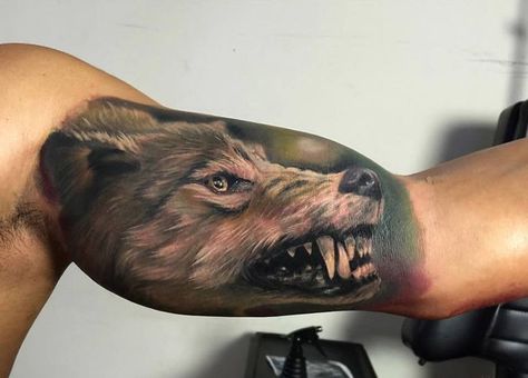 Snarling Wolf Bicep Tattoo | Bicep tattoo men, Inner bicep tattoo, Bicep tattoo Bicep Tattoos For Men, Tattoo Bicep, Inside Bicep Tattoo, Bicep Tattoos, Inside Of Arm Tattoo, Snarling Wolf, Bicep Tattoo Men, Tattoo Removal Cost, Inner Arm Tattoos