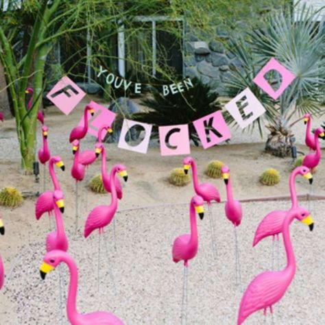 April fool's day prank, a flock of pink plastic flamingos in a front yard with a sign saying you've been flocked Yard Pranks, You've Been Flocked, Pink Flamingos Lawn Ornaments, Funny April Fools Pranks, April Fool's Prank, Senior Pranks, April Fools Pranks, Make Do, Flamingo Party