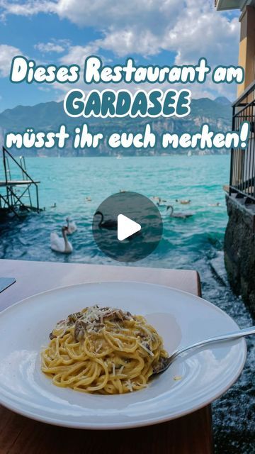 VERENA | Reisen•Aktivitäten•Alltag•Lifestyle on Instagram: "Essen direkt am Wasser oder soll ich lieber sagen IM Wasser? 😝🍝🍕💦

💸Durchschnittlich 18,50€ für Essen + Getränk

📍Bar Pizzeria da Pedro, Malcesine, Gardasee, Italien

Folgt mir @verenaxo für weitere Reisetipps🫶🏽

#italien#gardasee#italienurlaub#lagodigarda#wochenendtrip#reisenmachtglücklich#reisenistschön#travel#travelblogger#travelphotography#travelinspiration#urlaubstipp#reisetipps#createlifeyoulove#reiseblog#reiseblogger#reiseblogger_de#restauranttipp#welivetoexplore#welivetotravel#malcesine#girlstrip#foodblogger#sommerurlaub#ausflugstipp#bellaitalia#glücklich#urlaubstipps#sommer#urlaubinitalien" Restaurant, Travel, On Instagram