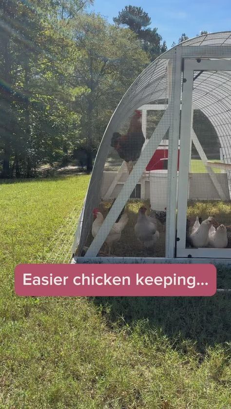 Easier chicken keeping starts here ⬇️

💪🏻Easily moveable to fresh grass
🛠️DIY inexpensive wheel system
👍🏻Hanging food + water
🐓Tons of roosting space 
🥚Exterior access nesting box + DIY rollout option
💲Plus, it’s budget friendly! 

Build videos and blueprints are designed to save you time, money, and frustration. 

💬 Comment “blueprint” to grab yours + get started!
*Be sure to hit follow first so you can receive the link!*

🐓Follow @CottonRiverFarm for easy homesteading and chicken keeping ti... Moveable Chicken Coop, Nesting Boxes Diy, Easy Homesteading, Chicken Roost, Chicken Keeping, Nesting Box, Chicken Diy, Backyard Farming, Box Diy