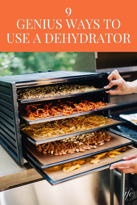 How To Dehydrate Meals, Food Dryer Recipes, Using A Dehydrator, Rehydrating Dehydrated Food, Recipes For Dehydrated Food, Good Foods To Dehydrate, Oven Dehydrator Recipes, Good Dehydrator, Things To Dehydrate Healthy Snacks