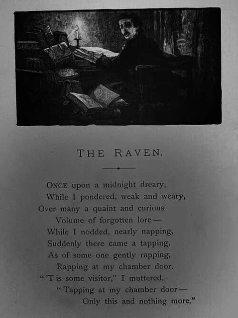 Edgar Allen Poe The Raven, Gothic Poetry, Poe The Raven, Romance Poetry, Poetry Aesthetic, Horror Fanatic, Roman Candle, The Road Not Taken, Allen Poe