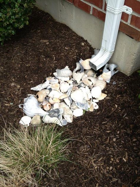 20 Easy DIY Seashell Projects For Decorating The Garden And Home Outdoor Shell Decor, Sea Shell Garden Ideas, Oyster Shell Landscaping, Shell Garden Landscaping, Seashells In The Garden, Crushed Shell Landscaping, Shells In Garden, Florida Xeriscape, Downspout Ideas