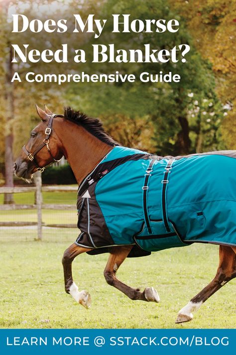 If you have wondered, does my horse need a blanket, you’ve come to the right place to learn when it is appropriate to blanket your horse. Blanketing horses may be necessary depending on temperature, weather conditions, and their overall health. Horse Blanketing Guide, Boho Horse Blankets English, Horse Throw Blankets, Plaid Horse Blanket, Blanket Rack, Horse Winter Blanket, Waterproof Blanket, Heavy Blanket, Horse Owner