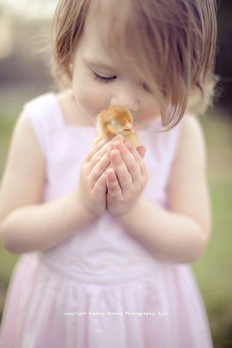 Baby Chicks Photography, Easter Mini Session, Easter Photoshoot, Easter Photography, Chicken Toys, Spring Animals, Toddler Photos, Baby Chickens, Easter Pictures