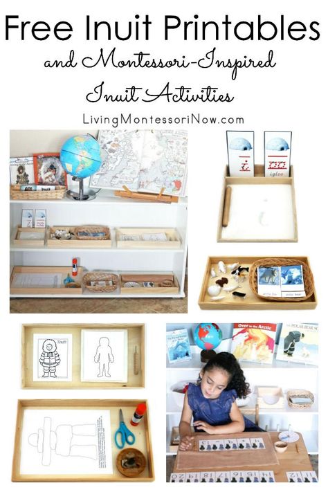 Lots of free Inuit printables along with ideas for preparing Montessori-inspired Arctic and Inuit activities using free printables; perfect for homeschool or classroom for a variety of ages - Living Montessori Now #Inuit #freeprintables #Montessori #homeschool #Arctictheme #Inuittheme Inuit Activities, Peaceful Preschool, Bird Activities, Bird Printables, Bird Study, Peace Education, Montessori Printables, Montessori Homeschool, Montessori Preschool