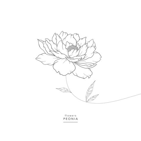 Flowers ⚘ Peonia ⚘ Paeonia ⚘ Paeonia Tattoo, Tattoo 2024, Colouring Sheets, Arm Tattoos, Coloring Sheets, New Tattoos, Arm Tattoo, Dahlia, Tattoo Ideas