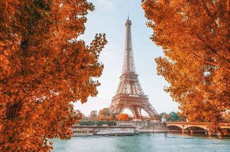 Paris Landscape, Floating Restaurant, Miracle Garden, Restaurant Paris, Visit Dubai, Voyage Europe, Paris Restaurants, Louvre Paris, Visit Paris