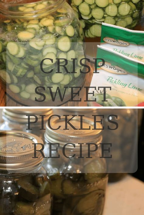 Cucumber Crisp Sweet Pickles Recipe Canning and Preserves - Shabby Chic Boho How To Make Sweet Pickles From Cucumbers, Homemade Sweet Pickles Recipe, Lime Sweet Pickles, Sweet Lime Pickles Recipe, Sweet Cucumber Pickles, Recipes Using English Cucumbers, Canned Sweet Pickles Recipe, Sweet Pickles Homemade Canning, Sweet Pickles Homemade Easy