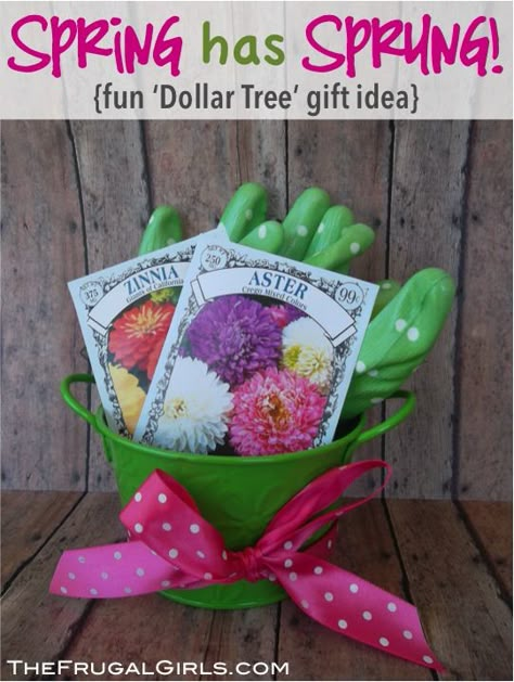 Sweet Little Gardening Gift Ideas for your favorite gardener! ~ from TheFrugalGirls.com #garden #gifts #thefrugalgirls Gardening Basket, Gardening Gift Ideas, Creative Easter Baskets, Gardening Gift Baskets, Dollar Tree Gifts, Frugal Girls, Secret Pal, Secret Sister, Garden Basket