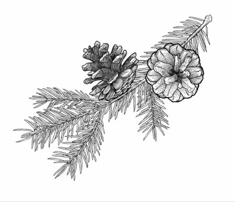 Pine Wreath Drawing, Pinecone Tattoo Design, Winter Floral Tattoo, Pine Bough Tattoo, Pine Branch Drawing, Pine Branch Tattoo, Pinecone Tattoo, Spruce Branch, Pine Tattoo