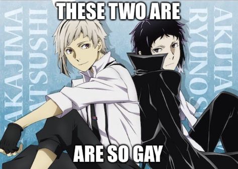 Bungou Stray Dogs Atsushi, Animes Emo, Bongou Stray Dogs, Stray Dogs Anime, Bungo Stray Dogs, Bungou Stray Dogs, Stray Dog, Tumblr, On Twitter