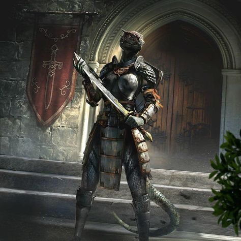 Elder Scrolls Legends, Skyrim Art, Elder Scrolls Art, Elder Scrolls Skyrim, Elder Scrolls Online, The Elder Scrolls, Fantasy Armor, Fantasy Rpg, Fantasy Inspiration