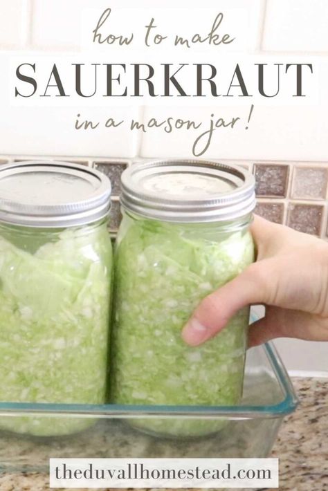 Canning Sauerkraut In Jars, Small Batch Sauerkraut, Saurkraut Recipes Mason Jar, How To Make Sauerkraut In A Jar, Mason Jar Sauerkraut, Sauerkraut In A Jar, Canning Sauerkraut Recipes Mason Jars, How To Make Sour Kraut In Jars, Making Sour Kraut In Jars