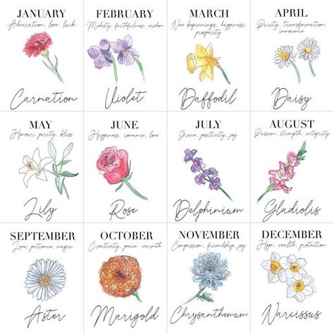 Birth flowers and meaning 27 Tattoo, December Flower, December Birth Flower, October Birth Flowers, July Birth Flower, September Birth Flower, November Birth Flower, June Birth Flower, February Birth Flowers