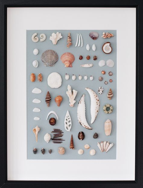 Shell Wall Hanging, Diy With Kids, Seashell Art Diy, Seashell Wall Art, Seashell Projects, Art Coquillage, Shell Crafts Diy, Sea Glass Crafts, Shell Decor