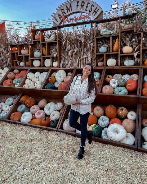 September 2022 Instagram Roundup - chicago jack's pumpkin pop up - Bowtiful Life Starting A Pumpkin Patch, Pumpkin Stand Roadside, Pumpkin Farm Stand, Pumpkin Stand Ideas, Pumpkin Patch Business Ideas, Pumpkin Farm Pictures, Pumpkin Scarring, Pumpkin Patch Decorating Ideas, Pumpkin Display Ideas