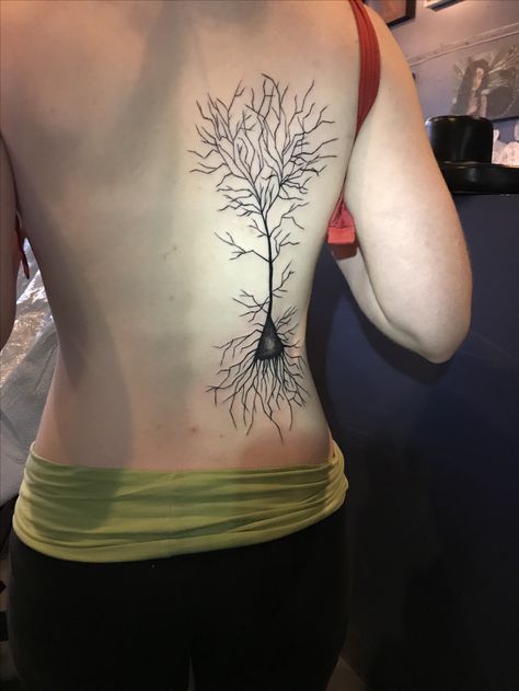 I got a pyrimidal neuron tattoo <3 officially applying to neurology! Neuron Tattoo, Branch Tattoo, Head Tattoo, Tree Of Life Tattoo, Spine Tattoo, Spine Tattoos, Head Tattoos, Med School, Neurology