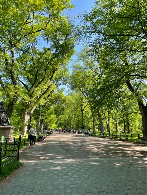 Witches Apartment, Park Bloxburg, Daybed Inspiration, New York Facts, Central Park Aesthetic, Nex York, New York Park, Bloxburg City, Drawing Backgrounds