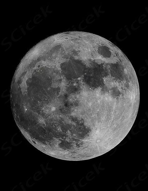 Learn how to paint the moon with black & white acrylic paint and a black canvas. This realistic moon tutorial is easy peasy for beginners too. Easy Moon Paintings For Beginners, How To Paint The Moon, Moon Painting Tutorial, Moon Tutorial, Glass Creations, White Moon, Learn How To Paint, Moon Painting, White Acrylic Paint