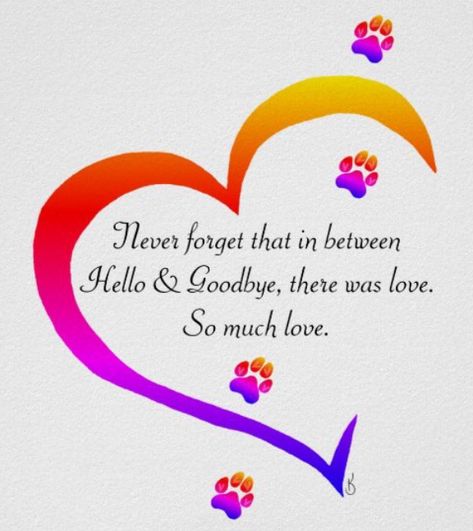 Passing Of Dog Quotes, Pet Sympathy Quotes, Losing A Pet Quotes, Miss My Dog, Dog Poems, In Loving Memory Quotes, Love My Husband Quotes, Pet Sympathy Cards, Hug Quotes