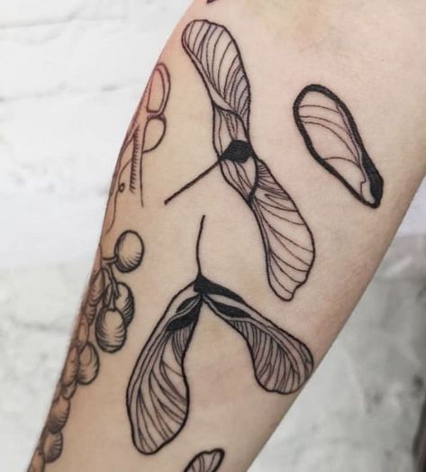 Natur Tattoo Arm, 16 Tattoo, Handpoke Tattoo, Plant Tattoo, Botanical Tattoo, Knee Tattoo, Arte Inspo, Nature Tattoos, Skin Art