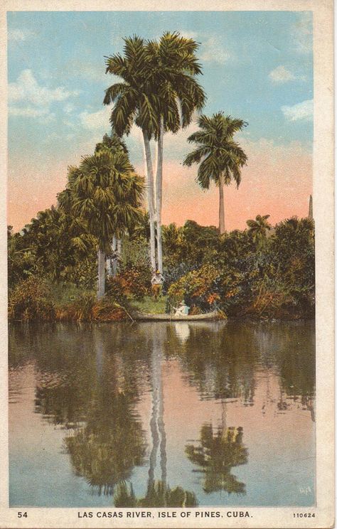 Las Casas River, Isle of Pines, Cuba Vintage Cuba Aesthetic, Vintage Tropical Aesthetic, Cuba Wallpaper, Cuban Aesthetic, Cuba Aesthetic, Cuba Beach, Cuba Art, Cuba Beaches, Vintage Cuba