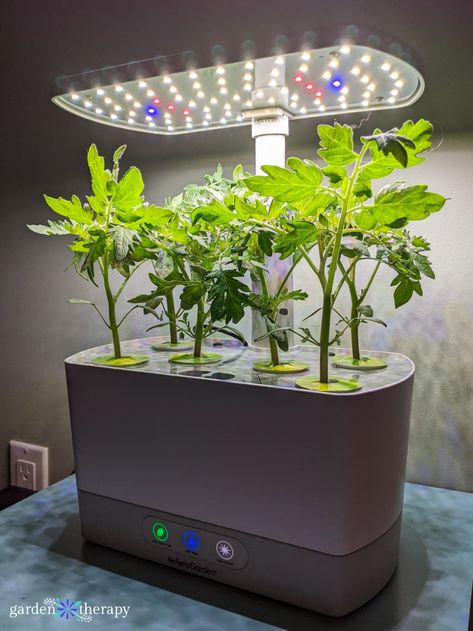 Aerogarden Hack, Diy Aerogarden, Aerogarden Ideas, Aerogarden Diy, Aerogarden Pods, Aero Garden, Indoor Hydroponic Gardening, Hydro Gardening, Indoor Hydroponics