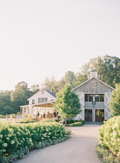 Pippin Hill Farm & Vineyards Home Decoration For Wedding, Decoration For Wedding, East Coast Wedding, Winery Wedding, Ideal Wedding, Trendy Home, Winery Weddings, Vineyard Wedding, Rustic Chic