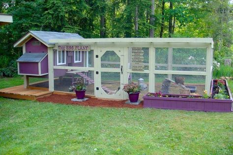 Amazing Chicken Coops! Reban Ayam, Chicken Coop Kit, Cute Chicken Coops, Chicken Pen, Chicken Coop Run, Coop Design, Backyard Poultry, Chicken Coop Designs, Viborg