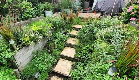 Sensory Yard For Dogs, Dog Enrichment Garden, Dog Sensory Garden Ideas, Landscape Ideas Dog Friendly, Gardens For Dogs, Sensory Garden For Dogs, Dog Safe Garden, Dog Backyard Area, Dog Friendly Garden Ideas