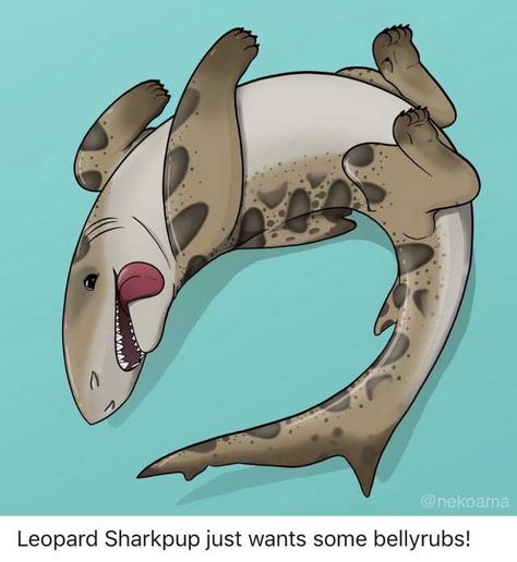 Sharkpups by The art of Ama - Imgur Shark Puppies, Sea Puppies, Dnd Pets, Shark Puppy, Shark Dog, Leopard Shark, Happy Shark, Shark Art, Shark Lover