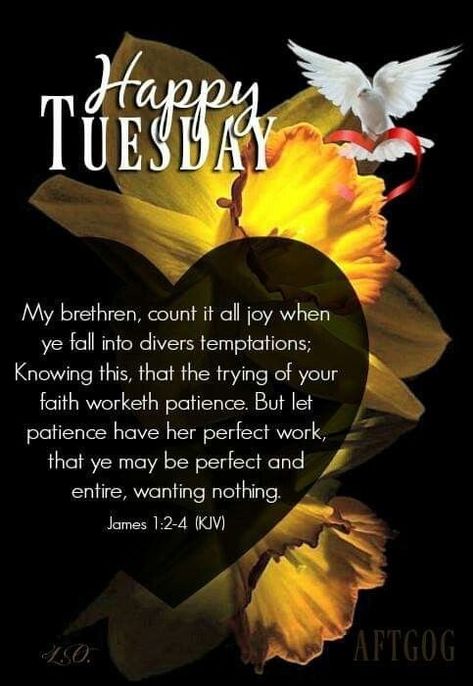 Tuesday Blessings Mornings Scripture Kjv, Tuesday Blessings Mornings Scripture, Tuesday Scripture, Tuesday Blessings Inspiration, Tuesday Blessings Mornings, Scripture Blessings, Morning Scripture, Tuesday Blessings, Bible Topics