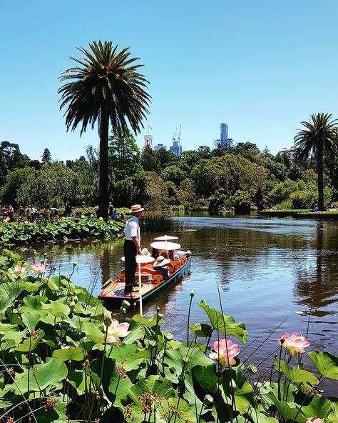 Melbourne on Instagram: “For a green escape in the city, visit @royalbotanicgardensvic for a dose of nature and sunshine. Walk under the cool canopy of ferns or…” Cool Airbnbs, Royal Botanic Gardens, Botanic Gardens, Start Living, Travel Wanderlust, Slice Of Life, Australia Travel, Travel Life, The Cool