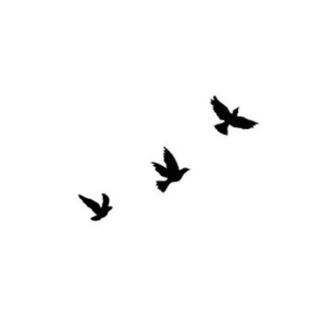 Three Black Birds Tattoo, Small Birds Flying Tattoo, Three Bird Tattoo, Hidden Meaning Tattoos, 3 Bird Tattoos For Women, Tattoo Fonts For Names, Birds Flying Tattoo, Bird Outline Tattoo, Three Little Birds Tattoo