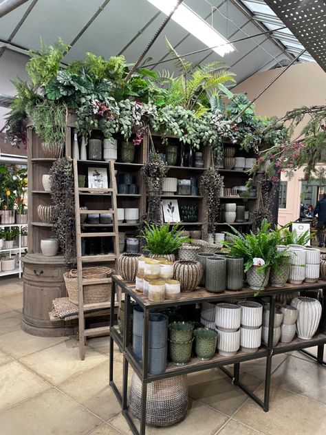 Maria Hosey Visual Merchandiser Houseplant Shop Display, Retail Houseplant Displays, Garden Center Displays Retail Ideas, Garden Center Displays Retail, Plant Store Display Visual Merchandising, Indoor Plant Display, Garden Center Displays, Store Shelves Design, Adobe Design