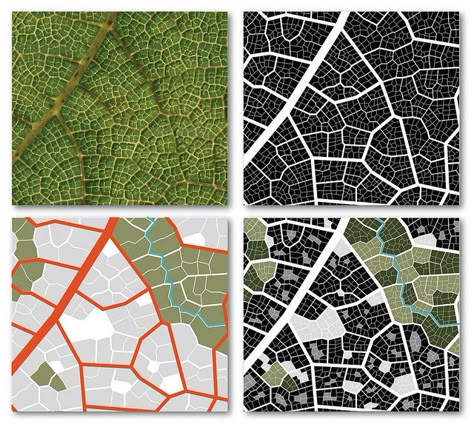 Leaf-city, part 1 City Structure, Design Diagram, Leaf Veins, Urban Design Diagram, Population Growth, Urban Design Concept, Ecology Design, Urban Design Plan, Generative Design