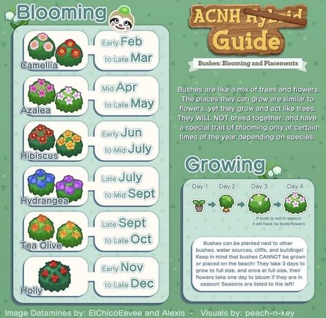 Image displays a list of bushes and their seasons. Guide to Animal Crossing Gardens + Florals. Gamer Stuff, Azalea Flower, Ac New Leaf, Animal Crossing Memes, Animal Crossing Guide, Qr Codes Animal Crossing, Acnh Ideas, Flower Guide, Animal Crossing Pocket Camp