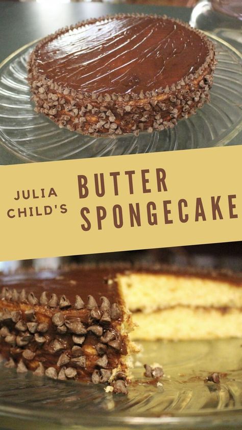 Julia Child's butter spongecake with chocolate icing recipe from Mastering the Art of French Cooking The Art Of French Cooking, Julia Child Recipes, Chocolate Butter, Chocolate Icing, French Cooking, Julia Child, Great Desserts, Easy Baking Recipes, Perfect Desserts