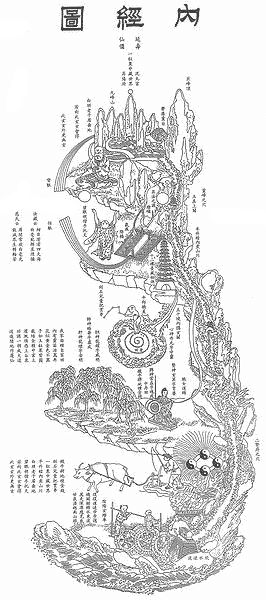 Neijing-tu The tiger leaps, the dragon soars, the wind and the waves are rough. In the correct position in the center is produced the mysterious jewel. Fruit grows on the branches, ripe at the end of the season; how can the child in the belly be any different? Chinese Alchemy, Taoist Art, Internal Alchemy, Age Illustration, Kundalini Yoga Poses, Asia Culture, Ancient Asia, Tai Chi Qigong, Gfx Design