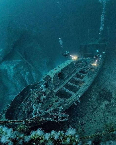 Underwater Shipwreck, Marine Archaeology, Wreck Diving, Underwater Ruins, Ship Wrecks, Fauna Marina, Abandoned Ships, The Shallows, Deep Blue Sea