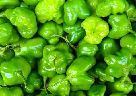 Green Habanero Recipes, Green Habanero Hot Sauce, Blueberry Hot Sauce Recipe, Habanero Hot Sauce Recipe, Habanero Recipes, Sauce Ideas, Hot Pepper Recipes, Hot Sauce Recipe, Habanero Chili