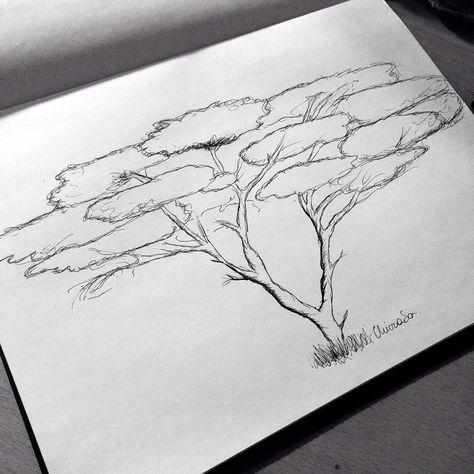 Acacia Tree Africa Landscape Drawing, African Trees Drawing, African Tree Drawing, Acacia Tree Drawing, African Tree Tattoo, Acacia Tree Tattoo, Safari Sketch, Savanna Tree, Africa Trees