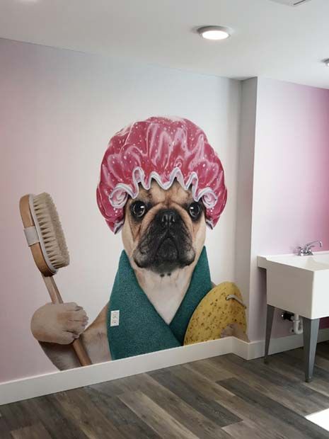 Custom Wall Murals And Custom Wallpaper Groomer Salon, Dog Grooming Salon Decor, Pet Store Design, Pet Store Ideas, Grooming Ideas, Dog Grooming Shop, Dog Spa, Dog Washing Station, Dog Grooming Salons