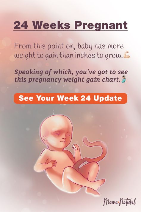 See what's up with baby, mama, and more when you're 24 weeks pregnant. The ultimate week by week natural pregnancy guide! Learn everything from pregnancy symptoms, development, learn to track your baby's growth and natural remedies for a healthy pregnancy. Click to find a complete timeline from the first trimester, second trimester, third trimester with tips for mom and baby to prepare them for a natural birth.   #naturalpregnancy #pregnancytips #naturalbirth 30 Weeks Pregnant Baby, 31 Week Pregnancy, 22 Weeks Pregnant Belly, 29 Week Pregnancy, Pregnancy Weight Gain Chart, Pregnancy Symptoms By Week, Second Trimester Pregnancy, 21 Weeks Pregnant, Pregnant Life